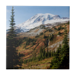 Carreau Parc national du Mont-Rainier, automne
