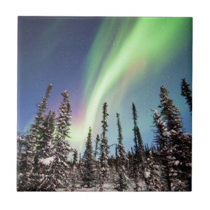 Carreau Parc national du nord des lumières   Denali