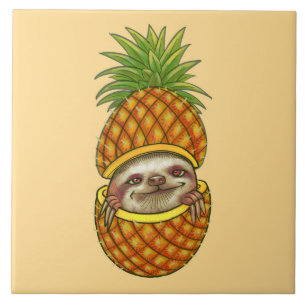 Carreau Parcelle Animée En Ananas