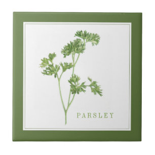 Carreau PARSLEY FRAIS 4.25x4.25 Carrelage en céramique (+t
