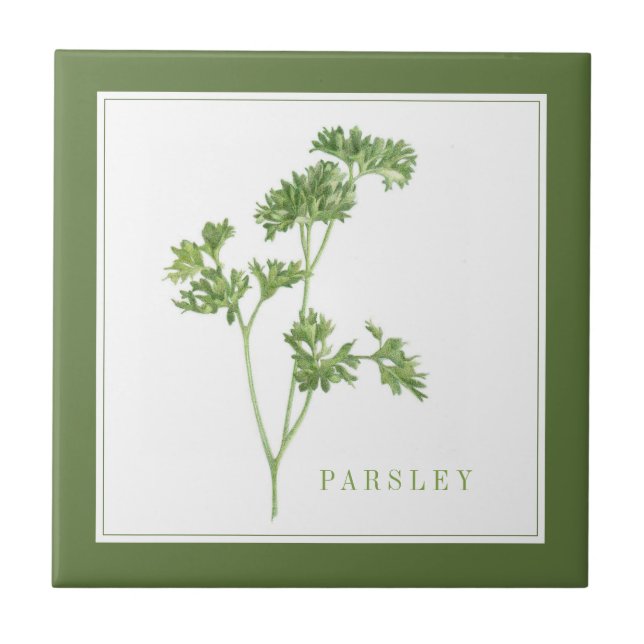 Carreau PARSLEY FRAIS 4.25x4.25 Carrelage en céramique (+t (Devant)