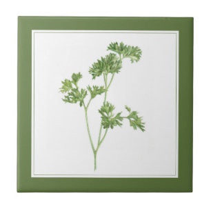 Carreau PARSLEY FRAIS 4.25x4.25 Carrelage en céramique (te