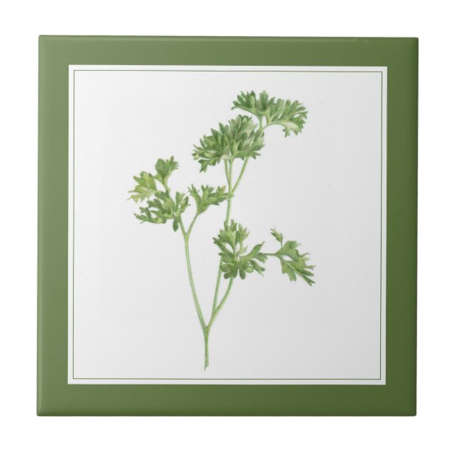 Carreau PARSLEY FRAIS 4.25x4.25 Carrelage en céramique (te (Devant)