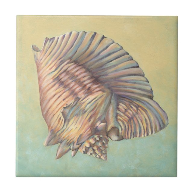 Carreau Pastel Large Conch Shell (Devant)