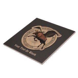 Carreau Patch Flying Moose Aviation