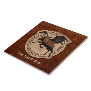 Carreau Patch Flying Moose Aviation