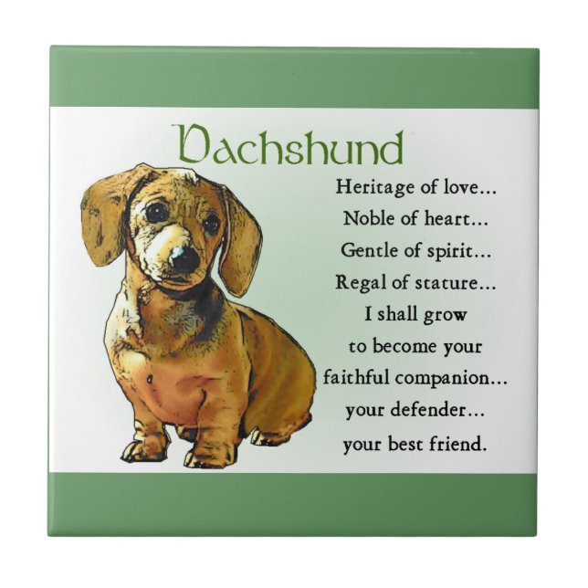 Carreau Patrimoine Dachshund de l'amour (Devant)
