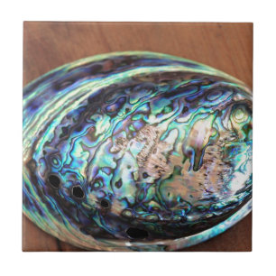 Carreau Paua abalone détail de coquillages bleu et vert