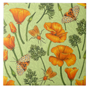 Carreau Pavot de Californie et papillons de nuit sur la ro