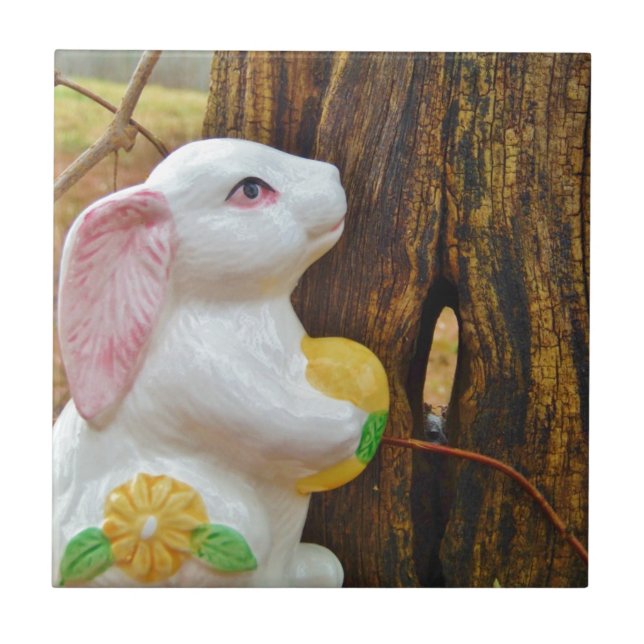 Carreau Pays Lapin de Pâques (Devant)