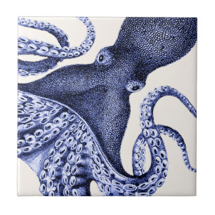 Carreau Paysage Bleu Octopus