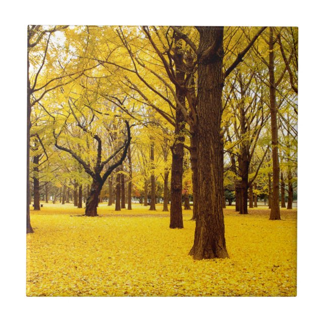 Carreau Paysage de forêt de chute (Devant)
