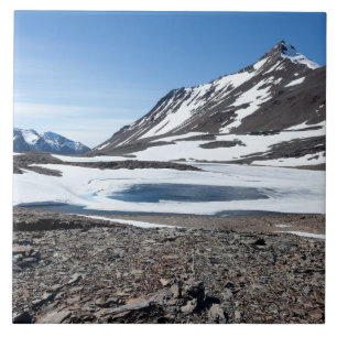 Carreau Paysage de Géorgie du Sud