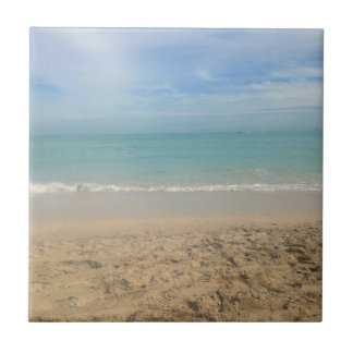 Carreau Paysage de la plage de Sunny - Cape Cod