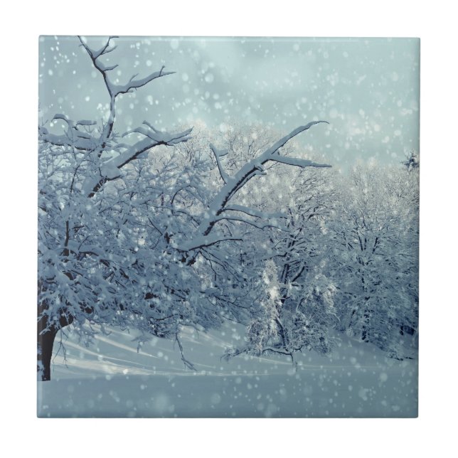 Carreau Paysage des arbres d'hiver (Devant)