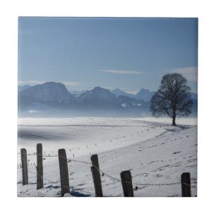 Carreau Paysage hivernal neige