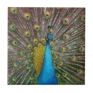 Carreau Peacock Art in Jewel Tone Coloris
