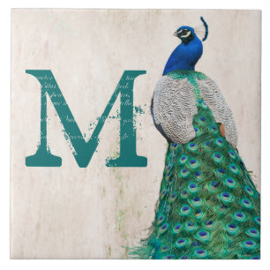 Carreau Peacock Bird Feather Turquoise Monogramme Display 