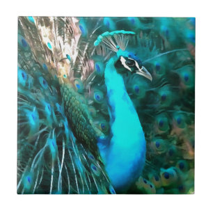 Carreau Peacock Bleu Vibrant Avec Queue Fissée