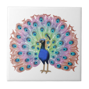 Carreau Peacock coloré
