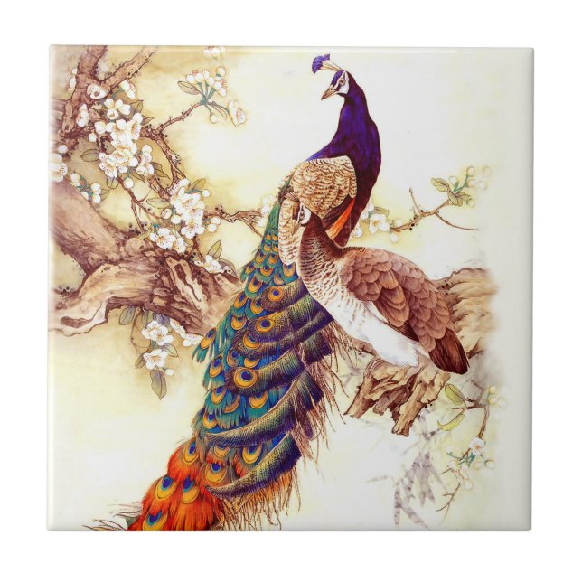 Carreau Peacock Royal (Devant)