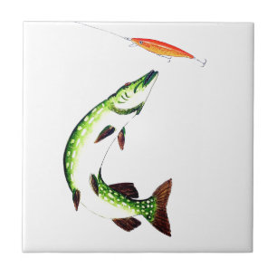 Carreau Pêche au brochet et pêche à la mouche