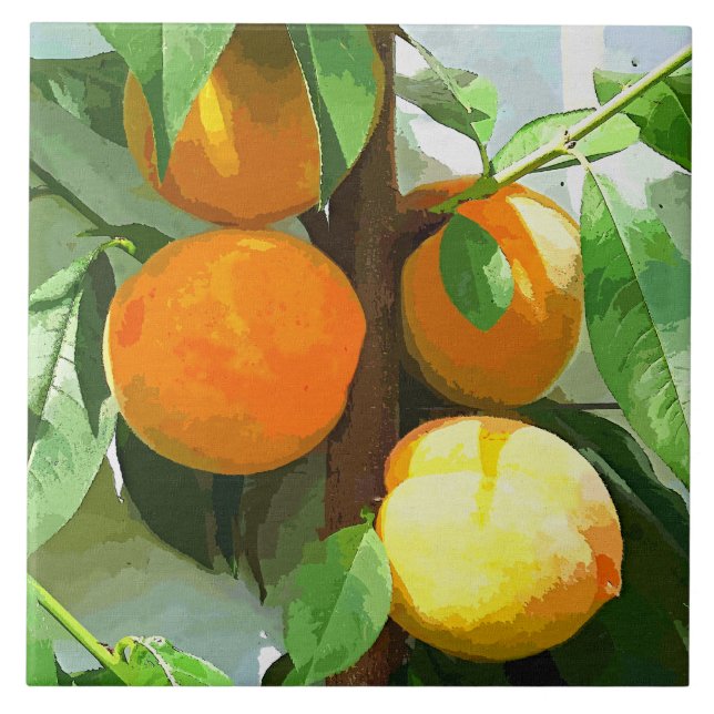 CARREAU PÊCHES (Devant)