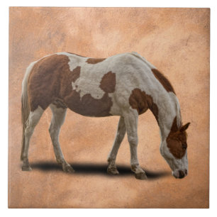 CARREAU PEIGNEZ LE CHEVAL