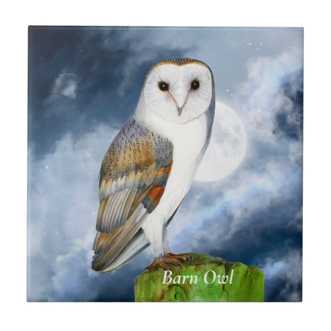 Carreau Peinture à l'aquarelle d'oiseau de la chèvre d'Amé (Devant)