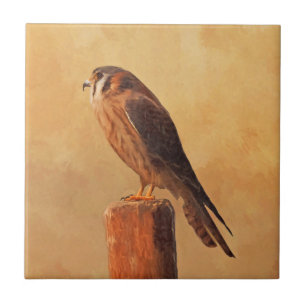 Carreau Peinture américaine Kestrel - Art original pour o