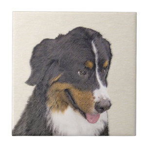 Carreau Peinture bernoise de chien de montagne - Art origi