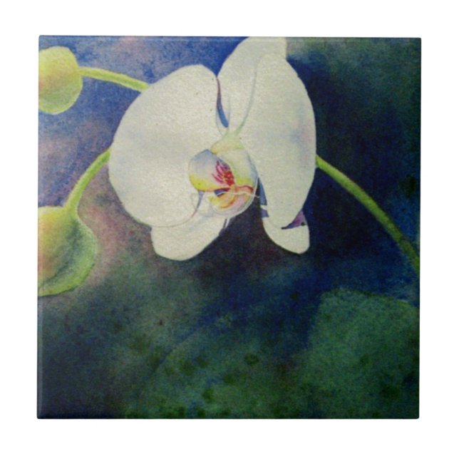 Carreau Peinture d'aquarelle d'orchidée hawaïenne blanche (Devant)