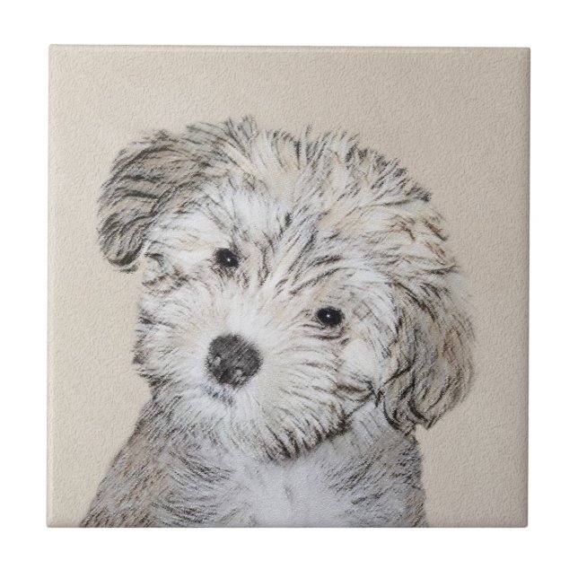 Carreau Peinture de Chien Havanais - Cute Original Chien A (Devant)