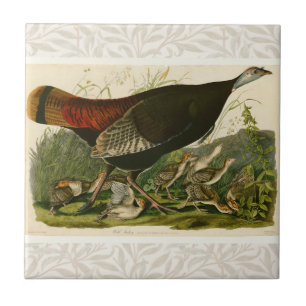 Carreau Peinture d'oiseaux sauvages de Turquie Audubon