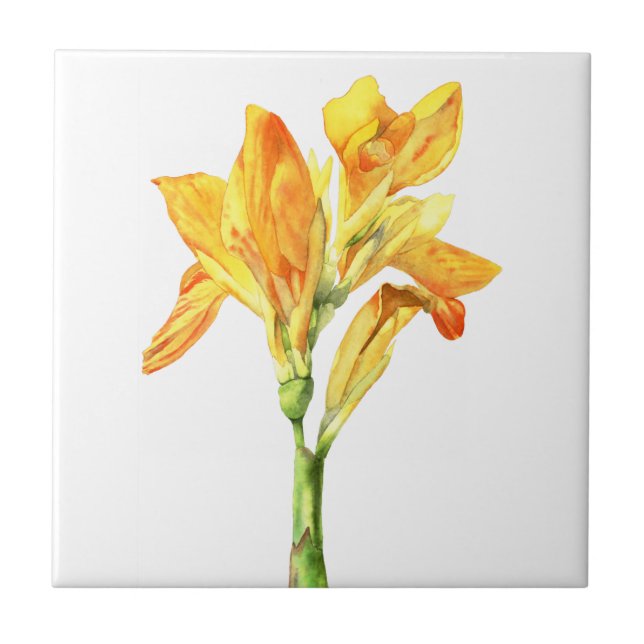 Carreau Peinture d'or d'aquarelle de fleur de Canna (Devant)
