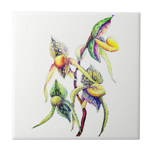 Carreau Peinture d'orchidées bleues (Devant)
