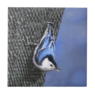 Carreau Peinture Nuthatch à poitrine blanche Art original