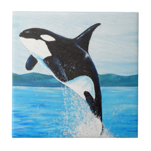 Carreau Peinture Orca