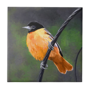 Carreau Peinture Oriole - Art Oiseau Original