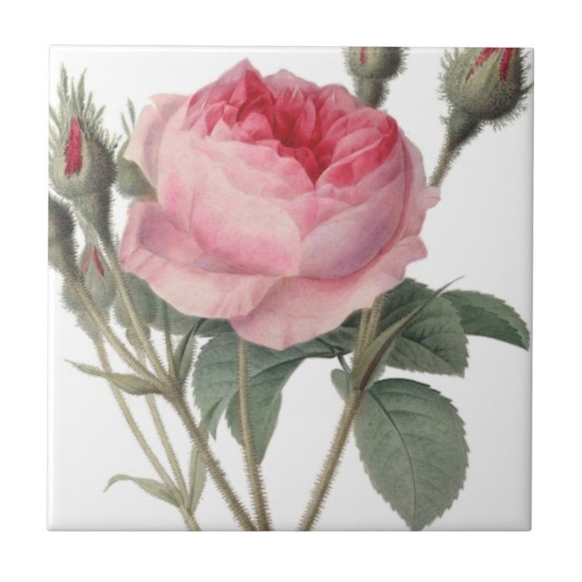 Carreau Peinture vintage rose pâle (Devant)