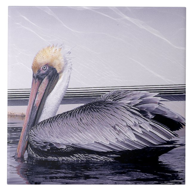 Carreau Pelican Gliding (Devant)