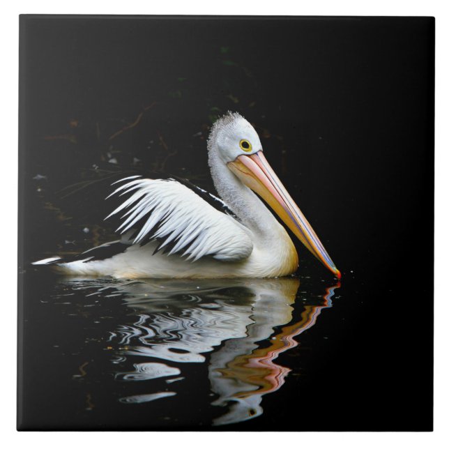 Carreau Pélican, grand oiseau blanc, (Devant)