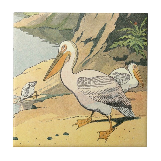 Carreau Pélican sur la plage (Devant)
