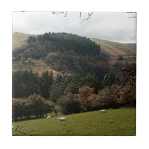 Carreau Pennant Valley Wales