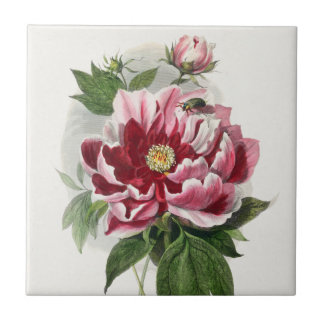 Carreau Peony Rose botanique vintage