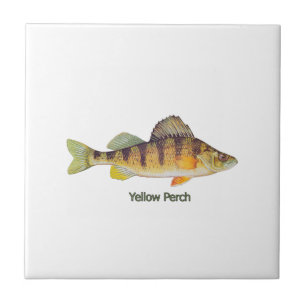 Carreau Perche jaune intitulée