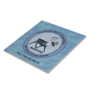 Carreau Père Noël 1er Polar Airlift Sqdn - Subduit