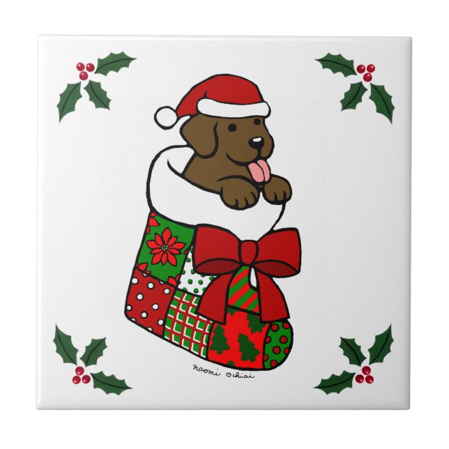 Carreau Père Noël stockant la bande dessinée de chiot de (Devant)