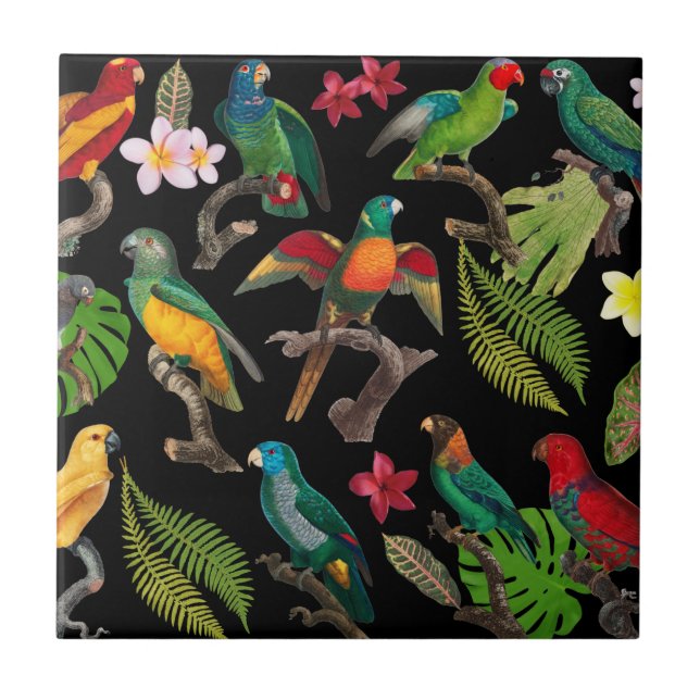 Carreau Perroquets tropicaux colorés, Feuilles et fleurs (Devant)