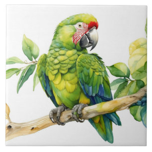 Carreau Perruche verte à l'aquarelle sur une branche d'arb